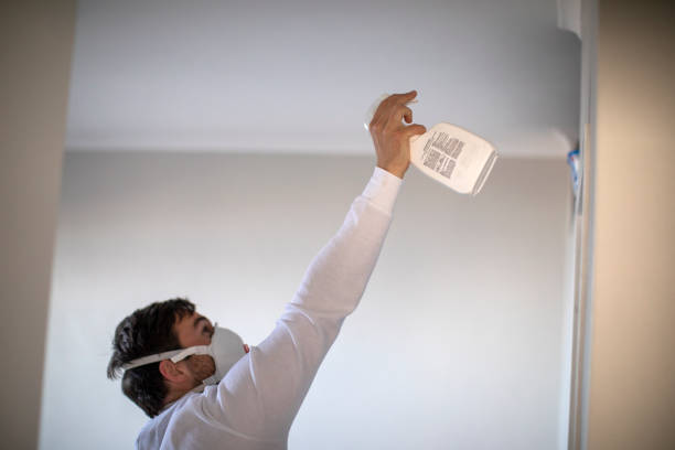 Best Preventive Mold Services in Friday Harbor, WA