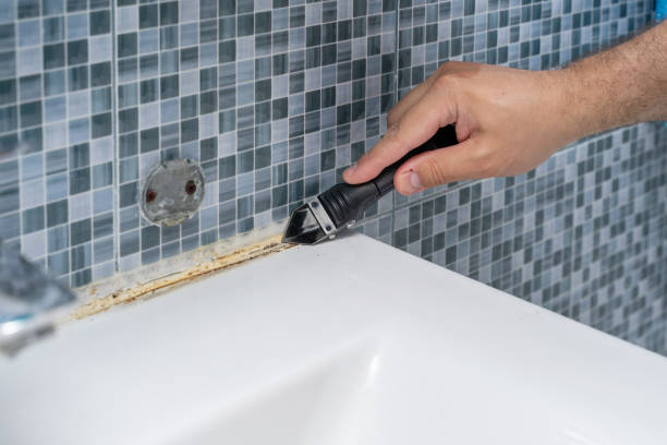 Best Health and Safety Mold Remediation in Friday Harbor, WA